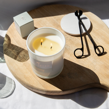Load image into Gallery viewer, Palm Beach Collection Candle - Clove & Sandalwood 420g